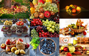 Autumn Fruits - Herbstfrchte