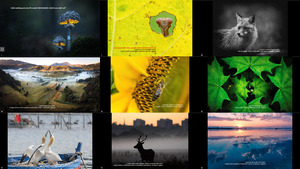 The Winners of EEA s REDISCOVER Nature Photo Competi