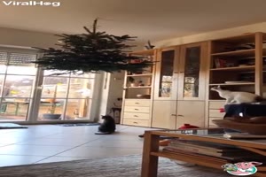 Weihnachtsbaum an der Decke