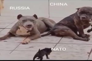 Russland, China und die Nato