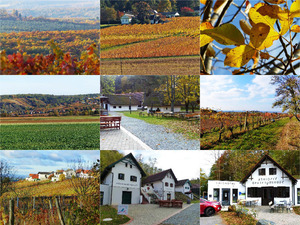 13.7-MB-Herbst Impressionen -Burgenlad-Alf..