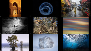 TPOTY People s Choice Vote 2021 2-1 1