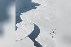 Lustige-Pinguine.mp4 auf www.funpot.net