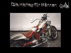Girls Harley