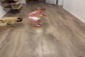 Baby spielt mit Hund