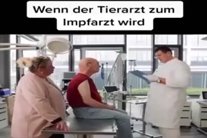 Impfen beim Tierarzt