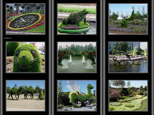 Montreal Gardens-C.Vonck