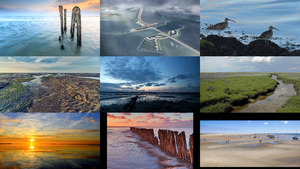 Waddenzee - Wattenmeer