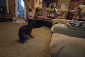 Hund bringt Kinder zum Lachen