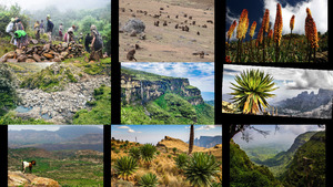 Simien Mountains thiopien