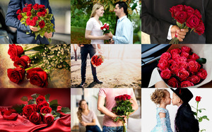 Roses of Love - Rosen der Liebe