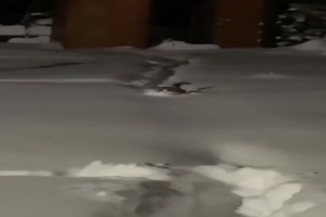 Katze muss durch hohen Schnee laufen