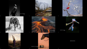 2022 Sony World Photography Award Open Competition-Winners&S