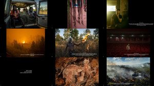 2022 World Press Photo Contest - Stories Winners