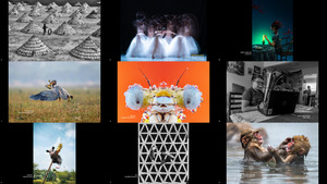 The 19th Annual Smithsonian Photo Contest - Winners