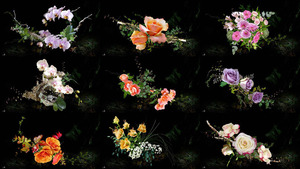Flowers of Silence - Blumen der Stille