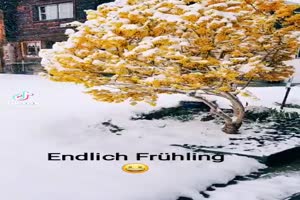 Endlich Frhling