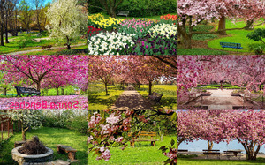 Spring Benches - Frhlingsbnke