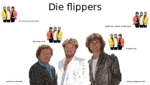 die flippers 008