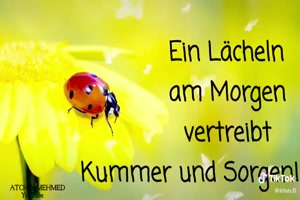 Liebe Gre am Morgen...