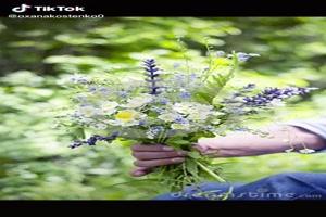 Beautiful field flowers - Schöne Feldblumen