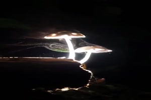 Geniale-Aufnahme.mp4 auf www.funpot.net