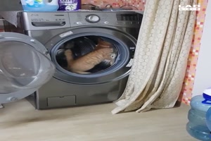 Waschmaschine als Laufrad
