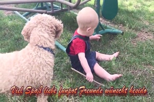 Babys-und-Hunde.mp4 auf www.funpot.net