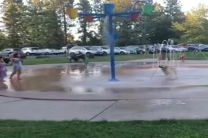 Hund hat Spa mit dem Wasser
