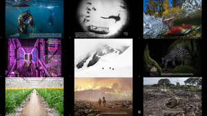 PA2F Environmental Photography Award 2022