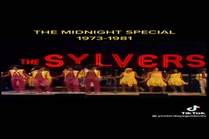 THE SILVERS - Boogie Fever