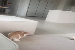 Wie-du-mir-so-ich-dir.mp4 auf www.funpot.net