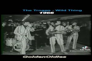 THE TROGGS - Wild Thing