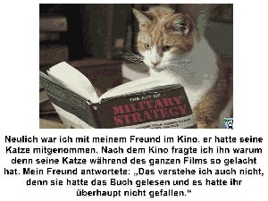 Katzen sind doch intelligente Tiere