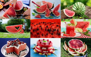 Watermelons - Wassermelonen