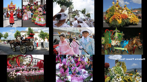 Madeira Flower Festival - Madeira Blumenfest