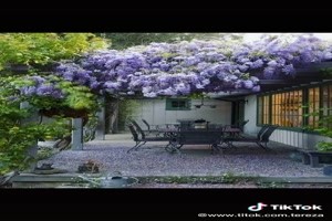 Beautiful pictures (Garden) - Schne Bilder (Garten)
