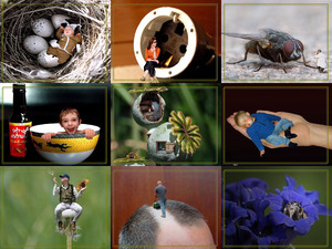 klicke hier, um die Datei herunterzuladen Beau montage