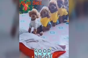Good Night