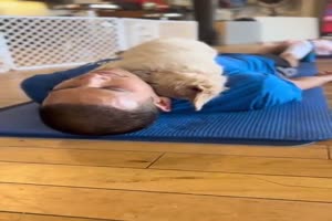 Yoga mit Hund