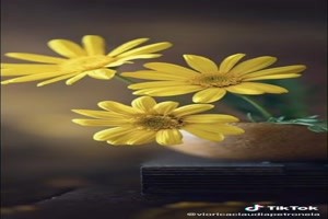Beautiful Flowers-Happy Thursday - Schöne Blumen