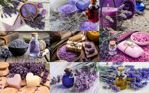 Lavender in Spa - Lavendel im Spa