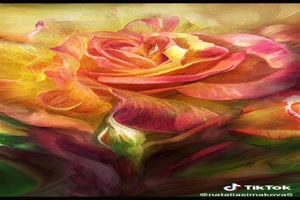 Carol Cavalaris (Artist) - Flowers - Blumen