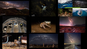 Australian Geographic Nature Photographer of the Year 2022