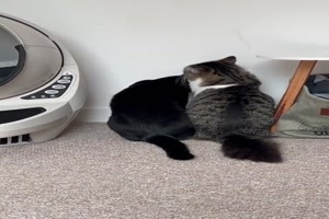 Partner-gefunden.mp4 auf www.funpot.net