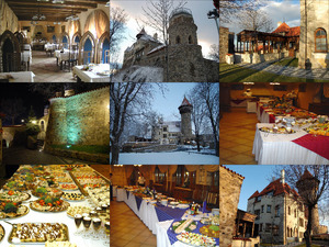 Burg-Hněvn.pps auf www.funpot.net