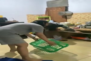 Ratte-fangen.mp4 auf www.funpot.net