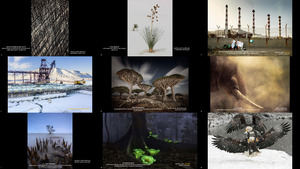 The Winners of The Nature Conservancy 2022 Photo Contest