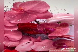 Flowers with rain - Blumen mit Regen
