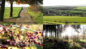 Een mooie Herfst wandeling in Elkenrade - Herbstspaziergang